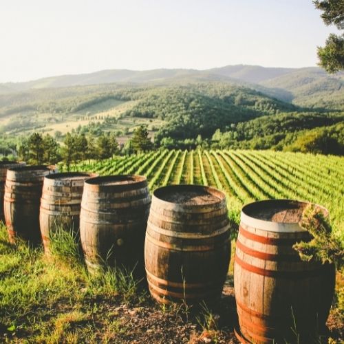 Home Wine Lab Amsterdam