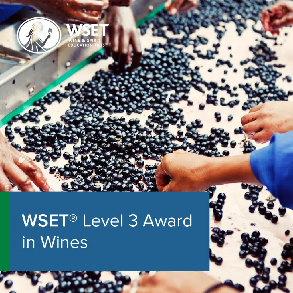 WSET® Level 3 Award in Wines Wine Lab Amsterdam
